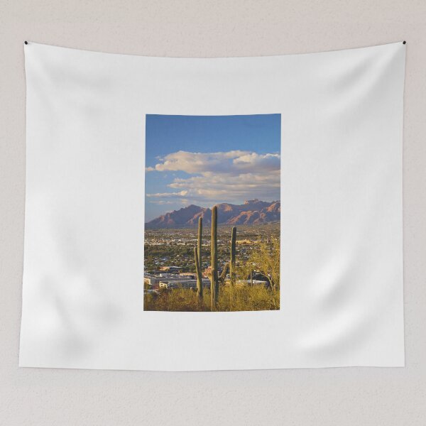 Item preview, Cactus Overlooking Mountain Range designed and sold by Phakade's Photos.