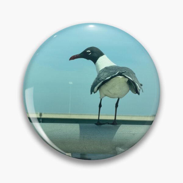 Item preview, Living on the ledge. designed and sold by Pearls1.