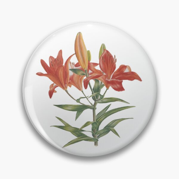 Item preview, lily flower designed and sold by colorgallery11.