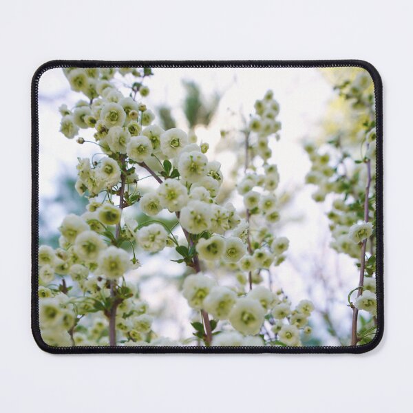Item preview, Sweet Love - Delicate Arching Bridal Wreath Spirea Blooms designed and sold by Loveisthebtwd.