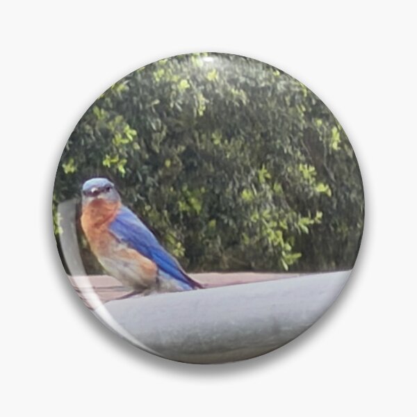 Item preview, Eastern Bluebird Singing from a Perch. designed and sold by Pearls1.
