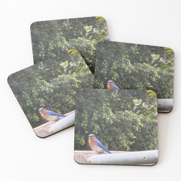 Item preview, Eastern Bluebird Singing from a Perch. designed and sold by Pearls1.