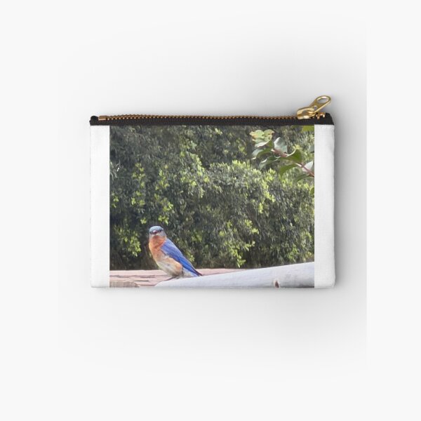 Item preview, Eastern Bluebird Singing from a Perch. designed and sold by Pearls1.