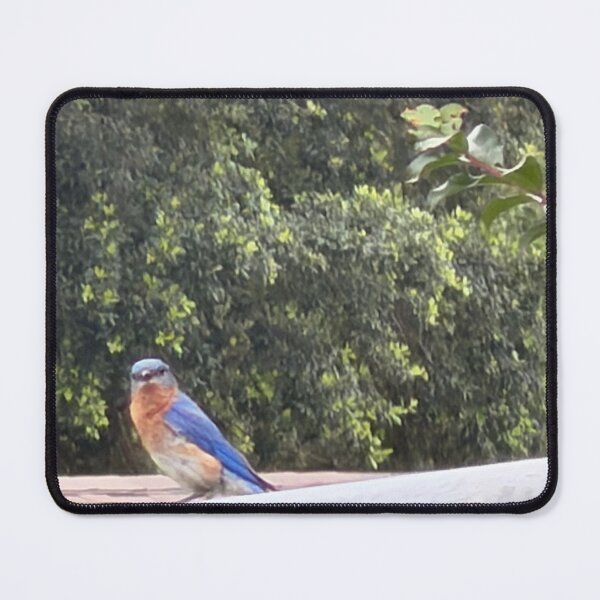 Item preview, Eastern Bluebird Singing from a Perch. designed and sold by Pearls1.