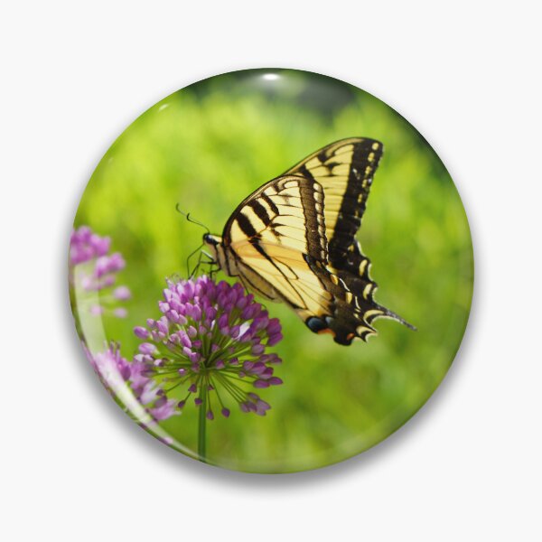 Item preview, Once Upon a Flutter - Tiger Swallowtail Yellow and Black Butterfly Rests Upon an Allium designed and sold by Loveisthebtwd.