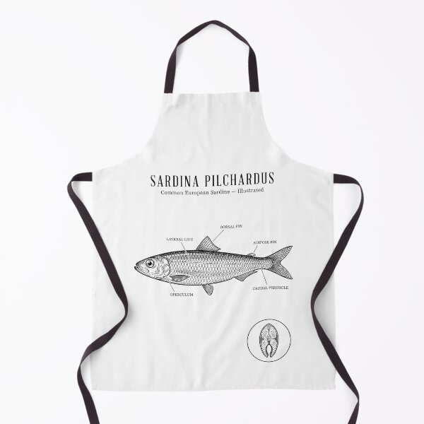 Item preview, Sardine Anatomy Scientific Diagram — Vintage Naturalist Illustration designed and sold by MarkymarkF.