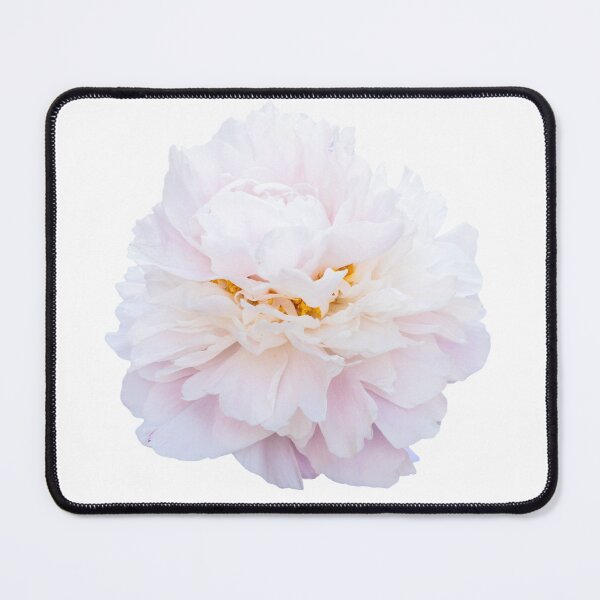 Item preview, Light pink peony closeup designed and sold by KRFNatureGifts.
