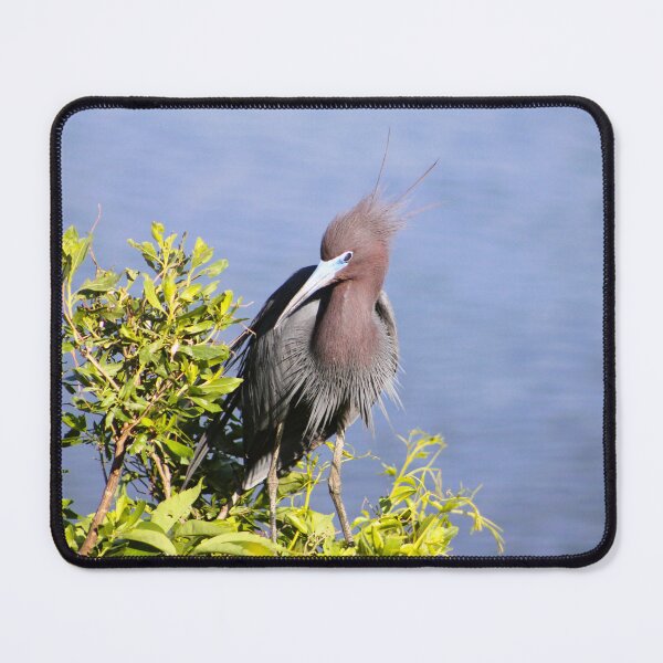 Item preview, Juvenile Heron by the Water designed and sold by Cynthia48.