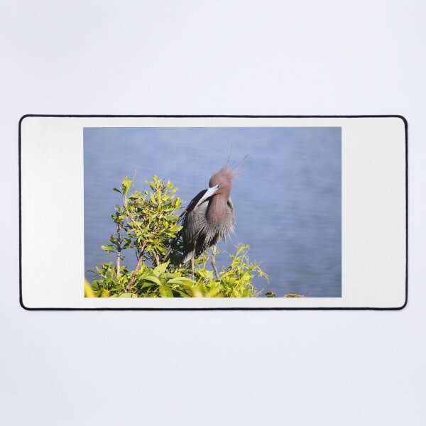 Item preview, Juvenile Heron by the Water designed and sold by Cynthia48.