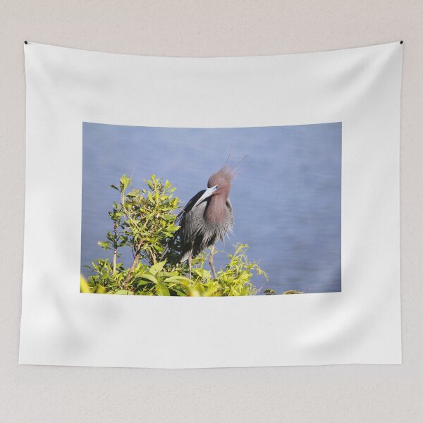 Item preview, Juvenile Heron by the Water designed and sold by Cynthia48.
