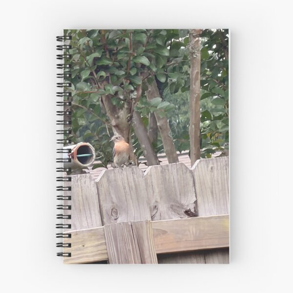Item preview, Bluebird Resting on Rustic Fence Post. designed and sold by Pearls1.