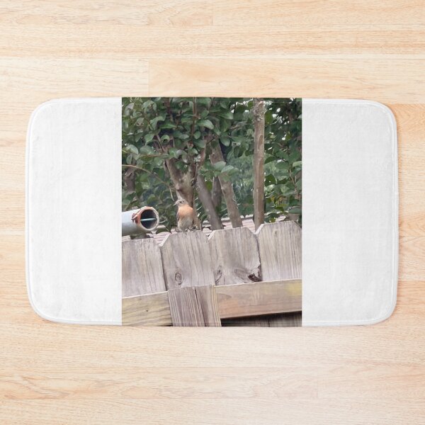 Item preview, Bluebird Resting on Rustic Fence Post. designed and sold by Pearls1.