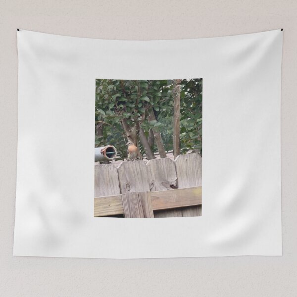 Item preview, Bluebird Resting on Rustic Fence Post. designed and sold by Pearls1.
