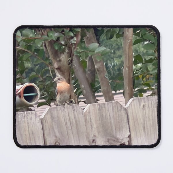 Item preview, Bluebird Resting on Rustic Fence Post. designed and sold by Pearls1.