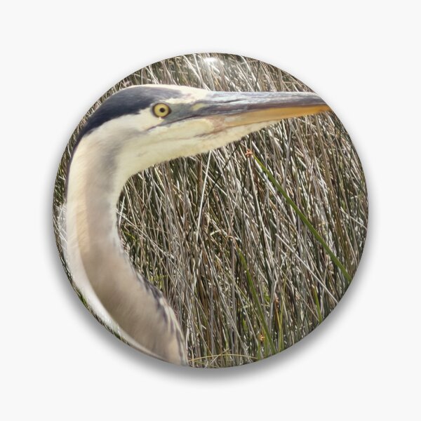 Item preview, Great Blue Heron by the Biloxi Causeway. designed and sold by Pearls1.