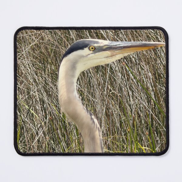 Item preview, Great Blue Heron by the Biloxi Causeway. designed and sold by Pearls1.