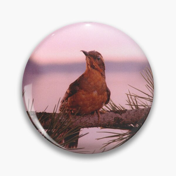 Item preview, TWIN FINCH designed and sold by FILM GUTTER.