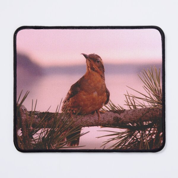 Item preview, TWIN FINCH designed and sold by FILM GUTTER.