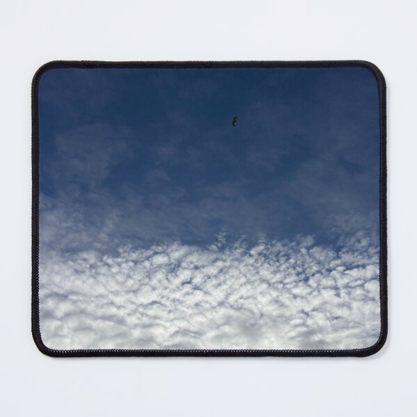 Item preview, a bird soars between blue skies and cool clouds in Glasgow (Scotland) in May 2026 designed and sold by photosbykel.