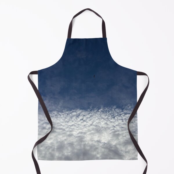 Item preview, a bird soars between blue skies and cool clouds in Glasgow (Scotland) in May 2026 designed and sold by photosbykel.