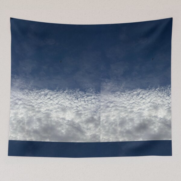 Item preview, a bird soars between blue skies and cool clouds in Glasgow (Scotland) in May 2026 designed and sold by photosbykel.