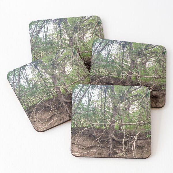 Item preview, The Roots designed and sold by seeingtrees.