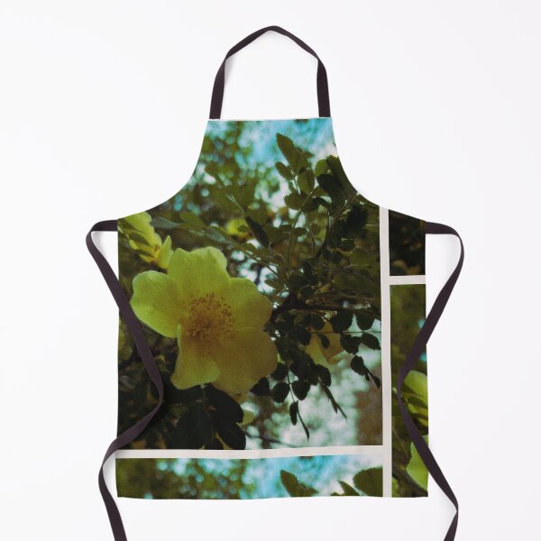 Item preview, canary bird rose bush on a sunny spring day (glasgow, scotland) (may 2026) designed and sold by photosbykel.