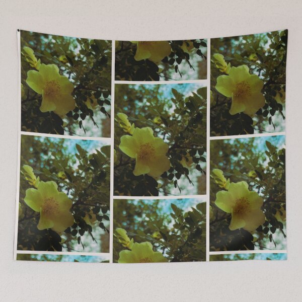Item preview, canary bird rose bush on a sunny spring day (glasgow, scotland) (may 2026) designed and sold by photosbykel.