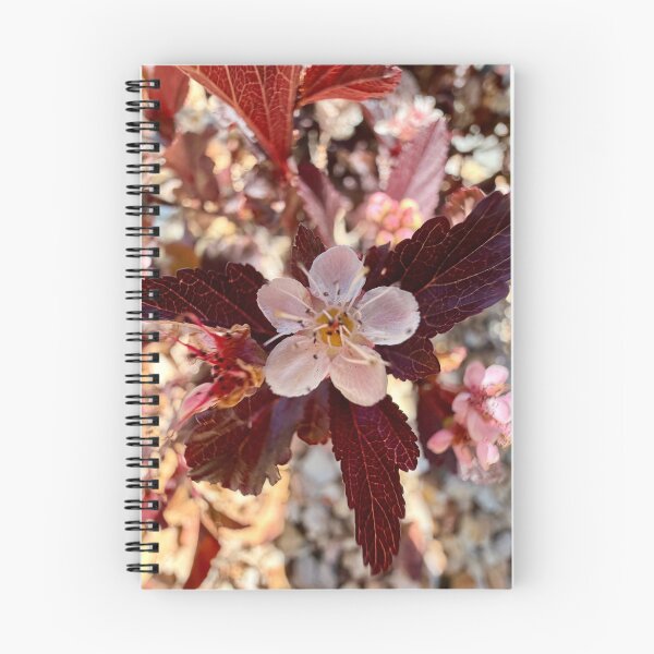 Item preview, Spring fireworks designed and sold by Betsy Phillips.