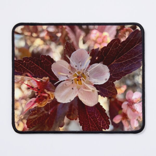 Item preview, Spring fireworks designed and sold by Betsy Phillips.