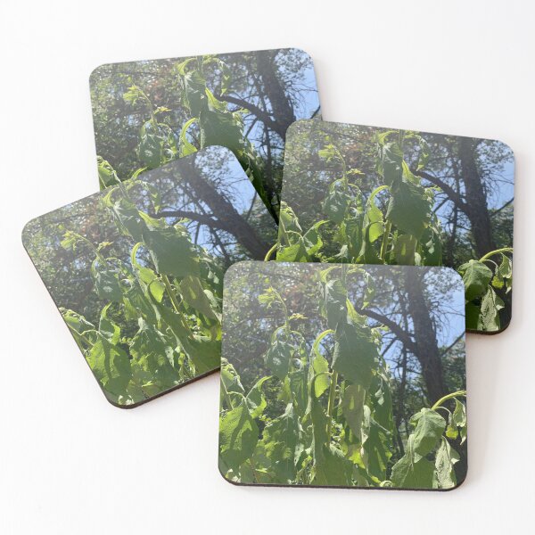 Item preview, Bug's Eye View designed and sold by seeingtrees.