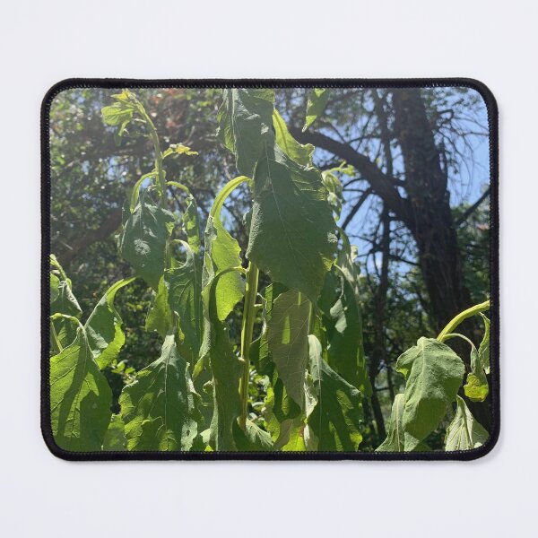 Item preview, Bug's Eye View designed and sold by seeingtrees.