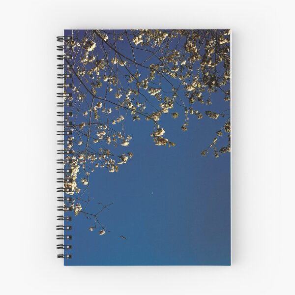 Item preview, looking up (through the trees) to the moon in glasgow (scotland) on a spring day (april 2026) designed and sold by photosbykel.