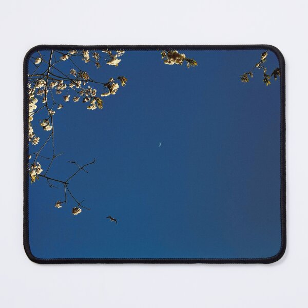 Item preview, looking up (through the trees) to the moon in glasgow (scotland) on a spring day (april 2026) designed and sold by photosbykel.
