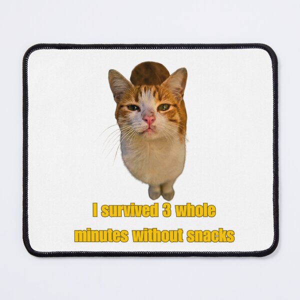 Item preview, Funny Cat Memes: I survived 3 whole minutes without snacks designed and sold by Clawandchaos.