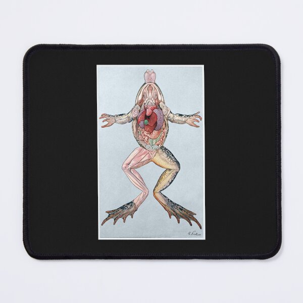 Item preview, Frog Dissection designed and sold by hec60504.