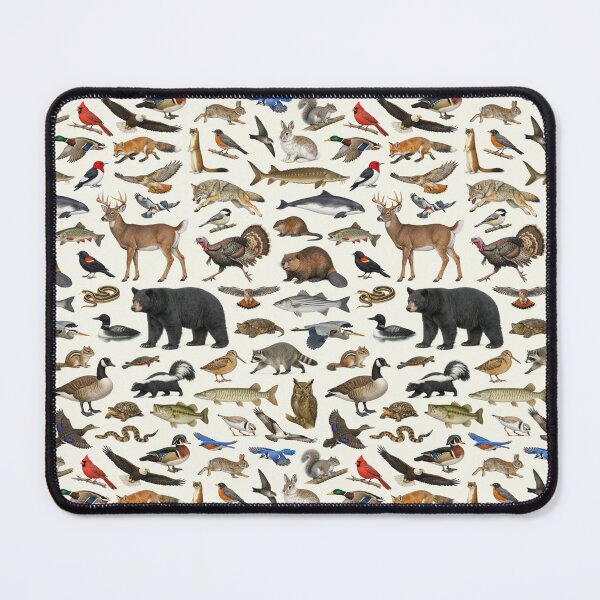 Item preview, Animals of New York State Retro Style Identification Chart designed and sold by kakarikihill.