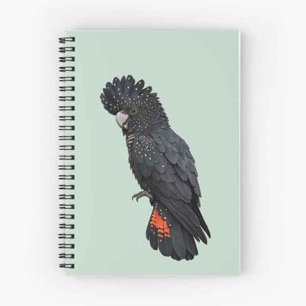 Item preview, Red-Tailed Black Cockatoo  designed and sold by Poplartree.
