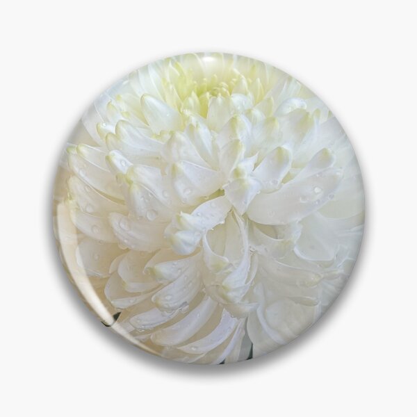 Item preview, White Chrysanthemum Flower with Dew Drops Photography Print designed and sold by Be Captured by Brittany Emma.