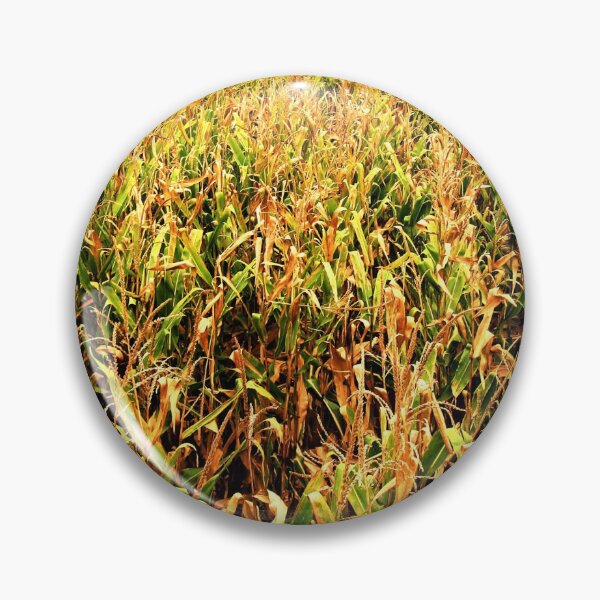 Item preview, Corn in Northern Illinois at Harvest Time in Autumn designed and sold by hec60504.