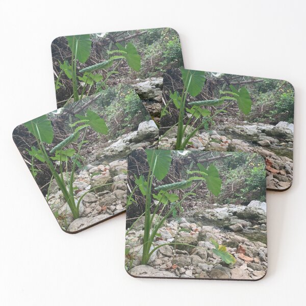 Item preview, By the Creekside designed and sold by seeingtrees.