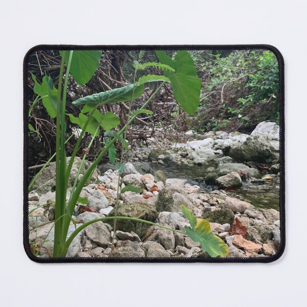Item preview, By the Creekside designed and sold by seeingtrees.