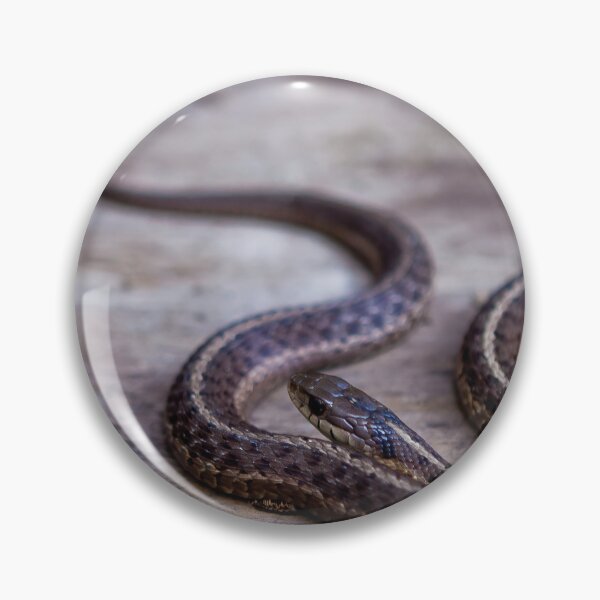 Item preview, Smol Snake designed and sold by 27Rose Photo.