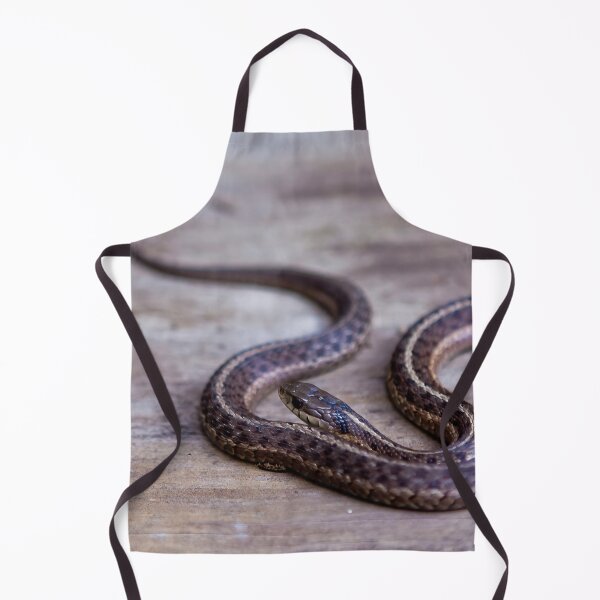 Item preview, Smol Snake designed and sold by 27Rose Photo.