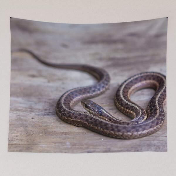 Item preview, Smol Snake designed and sold by 27Rose Photo.
