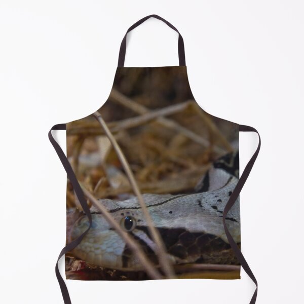 Item preview, Ground Snake designed and sold by 27Rose Photo.