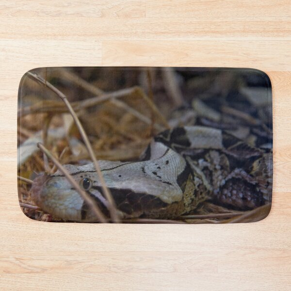 Item preview, Ground Snake designed and sold by 27Rose Photo.