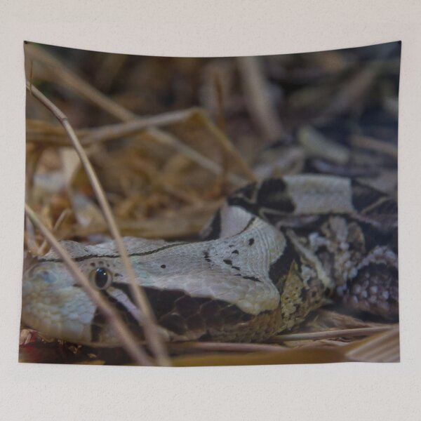 Item preview, Ground Snake designed and sold by 27Rose Photo.
