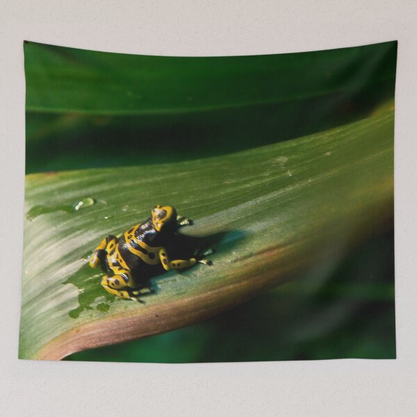 Item preview, Yellow Tree Frog designed and sold by 27Rose Photo.
