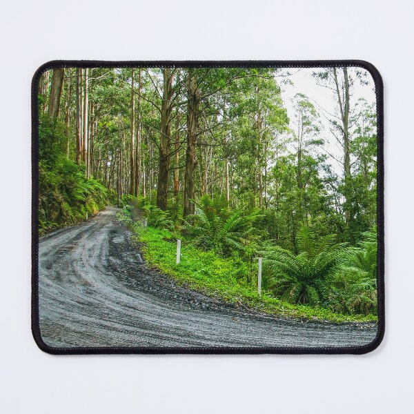 Item preview, Black Spur Drive, Maroondah Hwy, Fernshaw | Victoria, Australia - Mountain Ash Forest Road Art designed and sold by Ross.A.Campbell.